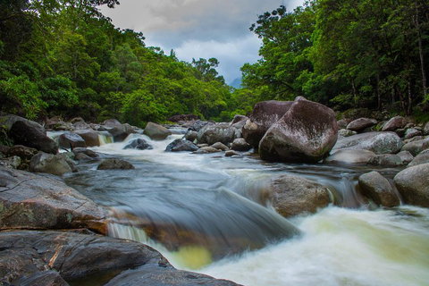 Cape Tribulation Day Tour - Australia Accommodation 0