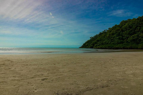 Cape Tribulation Day Tour - Australia Accommodation 2