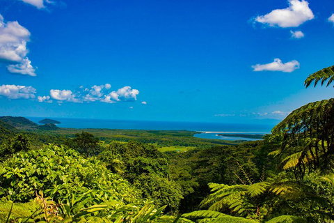 Cape Tribulation Day Tour - Australia Accommodation 3