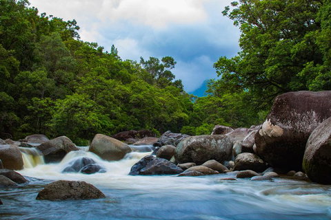 Cape Tribulation Day Tour - Australia Accommodation 4