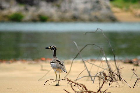1770 Coastline Tour By LARC Amphibious Vehicle Including Picnic Lunch - Australia Accommodation 3