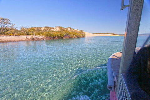 1770 Coastline Tour By LARC Amphibious Vehicle Including Picnic Lunch - Australia Accommodation 5