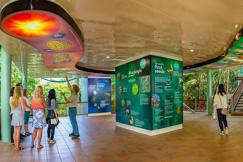 Skyrail & Kuranda Train Day Trip From Cairns - Australia Accommodation 0