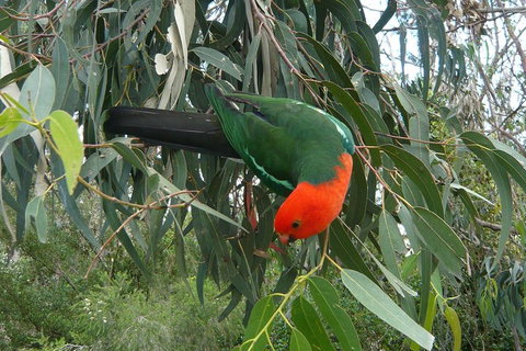 3-Day Private Adelaide To Melbourne Tour - Australia Accommodation 0