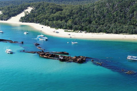All Inclusive Dolphin And Tangalooma Wrecks Cruise - Australia Accommodation 4