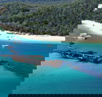 All Inclusive Tangalooma Wrecks Cruise Tour From Gold Coast - Australia Accommodation