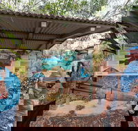 Bombing of Darwin World War II Tour with Harbour Cruise - Australia Accommodation