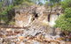 Bombing Of Darwin World War II Tour With Harbour Cruise - thumb 2