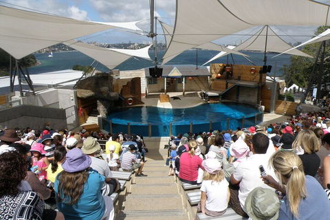 Sydney Taronga Zoo General Entry Ticket - Australia Accommodation 5