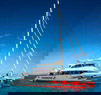 Passions of Paradise Great Barrier Reef Snorkel and Dive Cruise from Cairns by Luxury Catamaran - Australia Accommodation