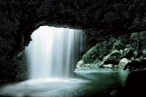 Natural Bridge Glow Worm Night Tour From Gold Coast - Australia Accommodation 0