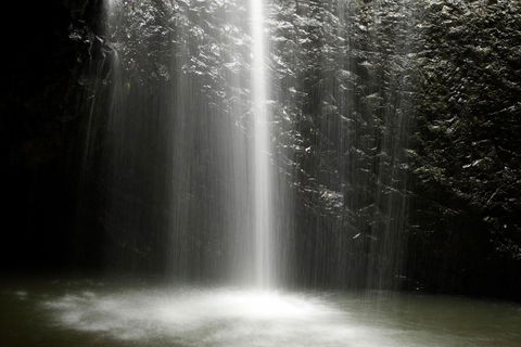 Natural Bridge Glow Worm Night Tour From Gold Coast - Australia Accommodation 2