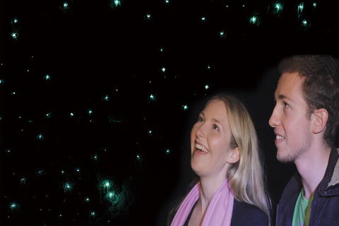 Natural Bridge Glow Worm Night Tour From Gold Coast - Australia Accommodation 3