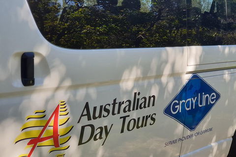 Natural Bridge Glow Worm Night Tour From Gold Coast - Australia Accommodation 5