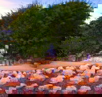 Byron Bay and the Crystal Castle Day Tour from Gold Coast - Australia Accommodation