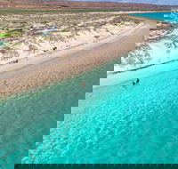 Ningaloo in a Day - Full Day Hike and Snorkel Tour with Lunch - Australia Accommodation