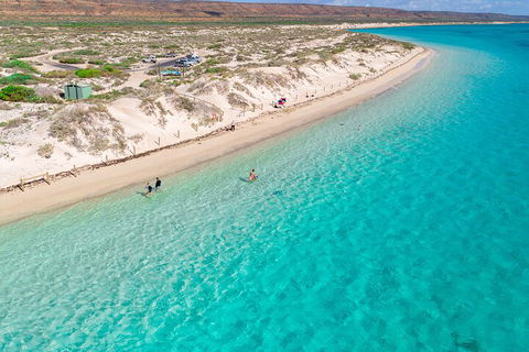 Ningaloo In A Day - Full Day Hike And Snorkel Tour With Lunch - Australia Accommodation 0
