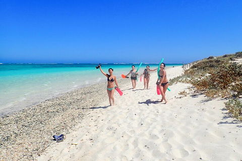 Ningaloo In A Day - Full Day Hike And Snorkel Tour With Lunch - Australia Accommodation 1
