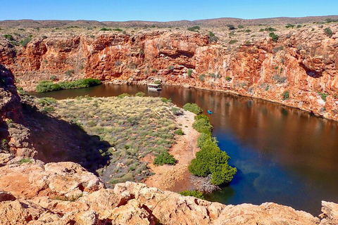 Ningaloo In A Day - Full Day Hike And Snorkel Tour With Lunch - Australia Accommodation 2