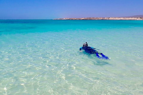 Ningaloo In A Day - Full Day Hike And Snorkel Tour With Lunch - Australia Accommodation 4