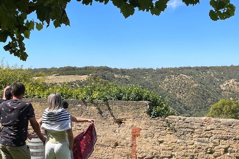 Private Mclaren Vale Wine Tour - Australia Accommodation 2