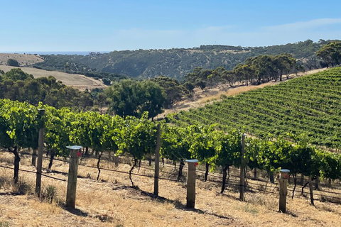 Private Mclaren Vale Wine Tour - Australia Accommodation 3