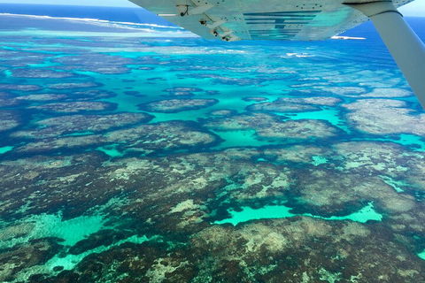 Shipwreck Special Full Day Tour Of The Abrolhos Islands - Australia Accommodation 1