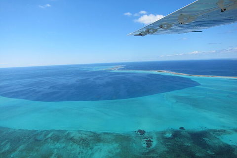 Shipwreck Special Full Day Tour Of The Abrolhos Islands - Australia Accommodation 2