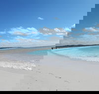 Shipwreck Special Nature Tour/Half Day Tour - Australia Accommodation