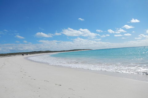 Shipwreck Special Nature Tour/Half Day Tour - Australia Accommodation 0