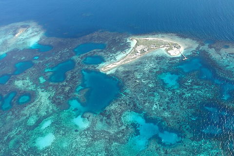 Shipwreck Special Nature Tour/Half Day Tour - Australia Accommodation 5