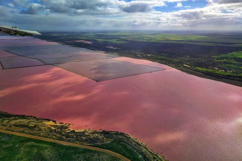 Kalbarri, Pink Lake And Abrolhos Islands Nature Tour - Australia Accommodation 1