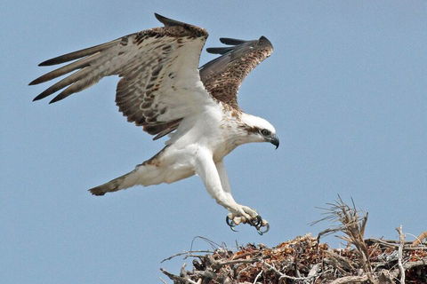 Pink Lake + Abrolhos Islands Nature Tour - Australia Accommodation 3