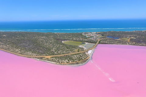 Pink Lake + Abrolhos Islands Nature Tour - Australia Accommodation 4
