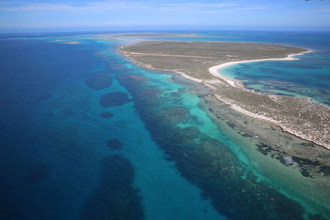 Pink Lake + Abrolhos Islands Scenic Flight - Australia Accommodation 0