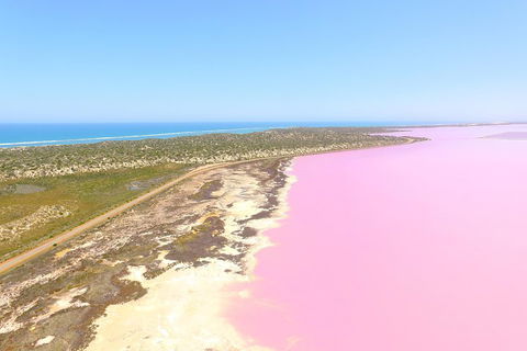 Pink Lake + Abrolhos Islands Scenic Flight - Australia Accommodation 4