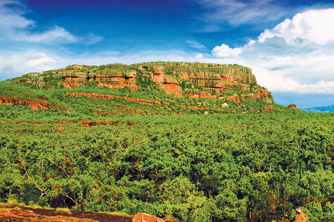 Kakadu, Nourlangie And Yellow Waters Tour From Darwin - Australia Accommodation 3