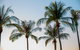 Darwin City Sightseeing Tour - thumb 0