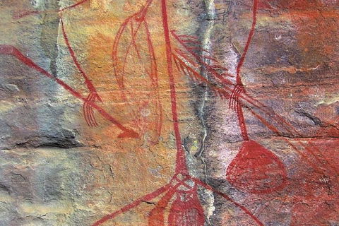 2-Day Kakadu And Arnhem Land Tour From Darwin - Australia Accommodation 2