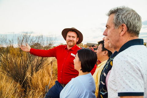 Uluru (Ayers Rock) Sunset With Outback Barbecue Dinner And Star Tour - Australia Accommodation 3