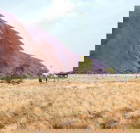 Uluru Sunrise and Guided Base Walk - Australia Accommodation