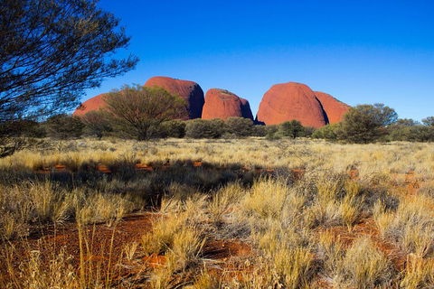 Kata Tjuta Sunrise And Valley Of The Winds Half-Day Trip - Australia Accommodation 1