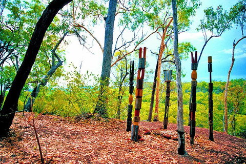 Tiwi Islands Cultural Experience From Darwin Including Ferry - Australia Accommodation 3