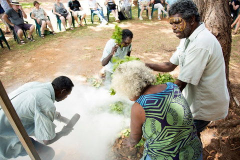 Tiwi Islands Cultural Experience From Darwin Including Ferry - Australia Accommodation 4