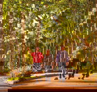 Darwin City Sights and Jumping Crocodile Cruise - Australia Accommodation