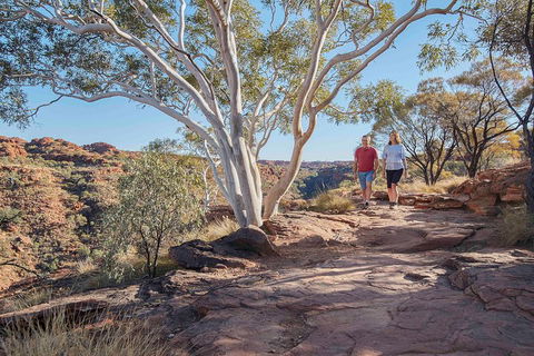 3-Day Tour From Uluru (Ayers Rock) To Alice Springs Via Kings Canyon - Australia Accommodation 1