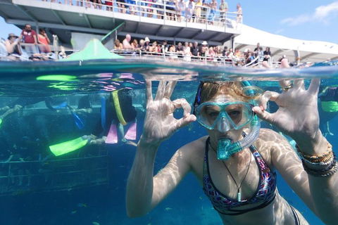 Great Barrier Reef Day Cruise From Cairns Including Snorkeling And Marine Biologist Presentation - Australia Accommodation 0
