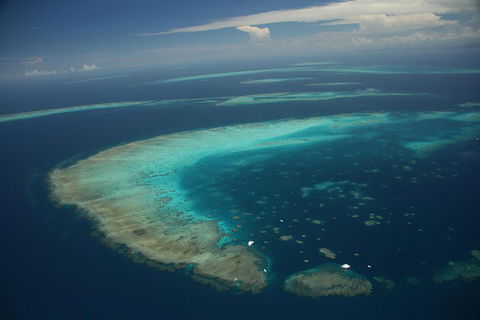 Great Barrier Reef Day Cruise From Cairns Including Snorkeling And Marine Biologist Presentation - Australia Accommodation 1