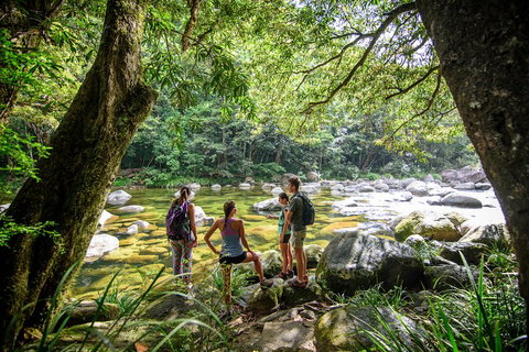 Private Daintree Mossman Gorge Exclusive Nature And Wildlife Focus - Australia Accommodation 5