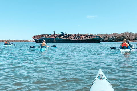 Kayak Tour In Adelaide Dolphin Sanctuary - Australia Accommodation 3